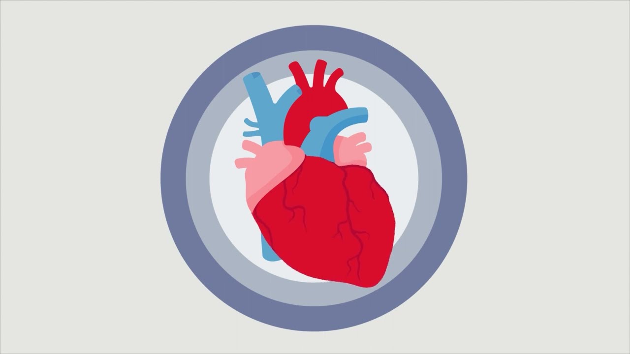 What is heart failure? | Living Well with Heart Failure